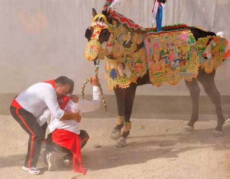 Running of the wine horses, Caravaca de la Cruz